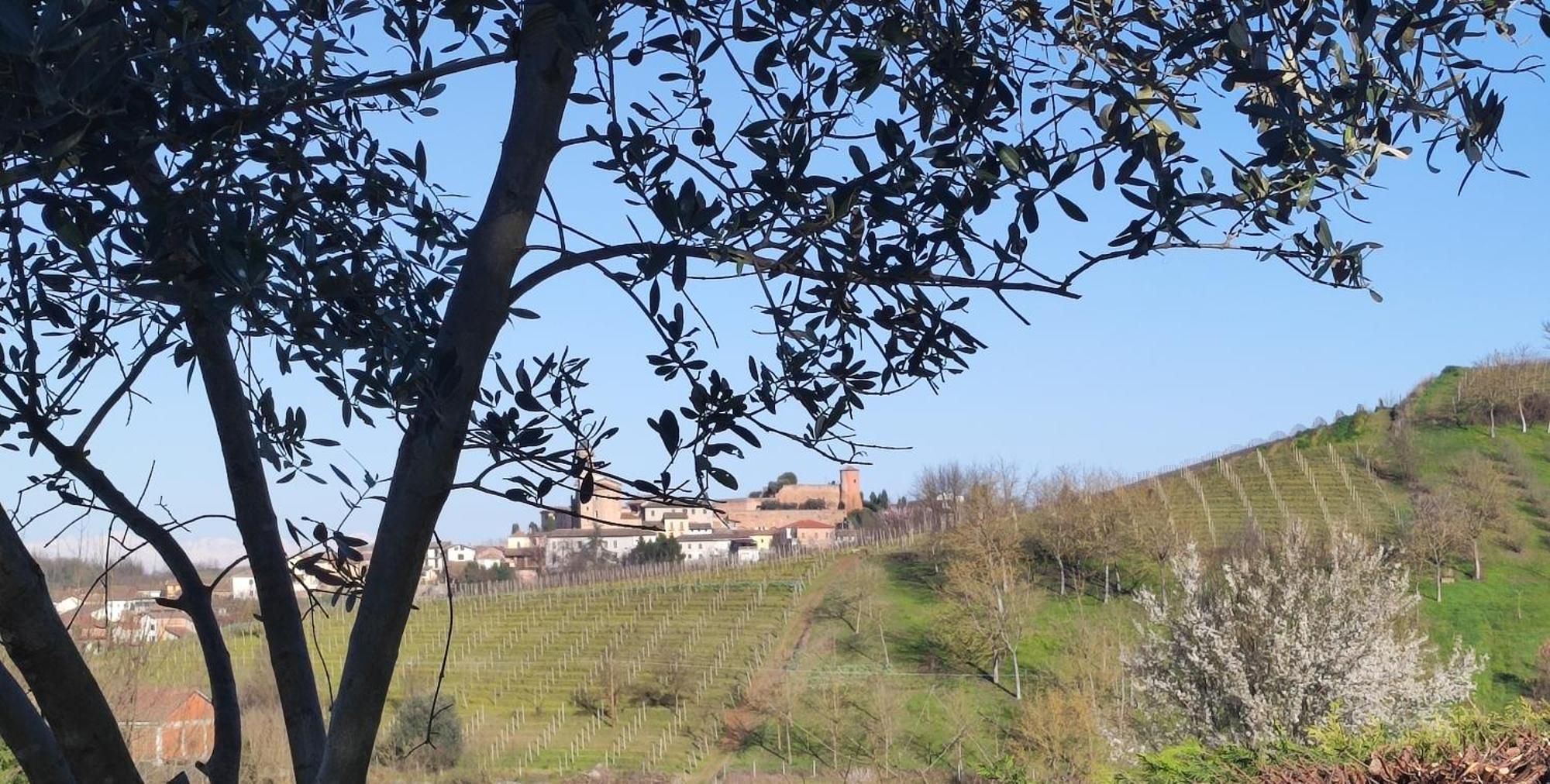 Casa San Rocco Villa Castelnuovo  Buitenkant foto